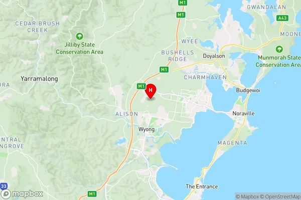 Warnervale,New South Wales Area Map