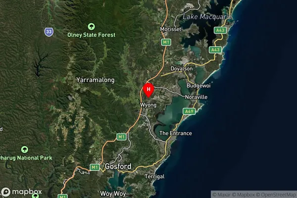 Watanobbi,New South Wales Satellite Map