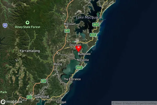 Buff Point,New South Wales Satellite Map