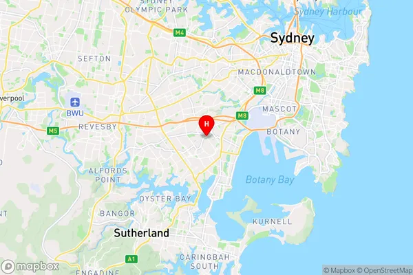 Bexley South,New South Wales Area Map