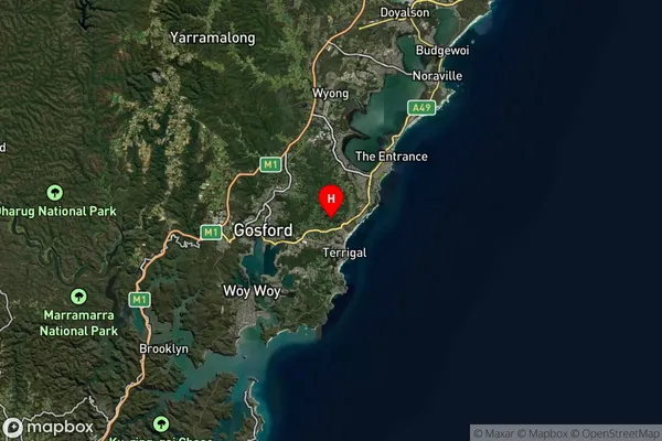 Matcham,New South Wales Satellite Map