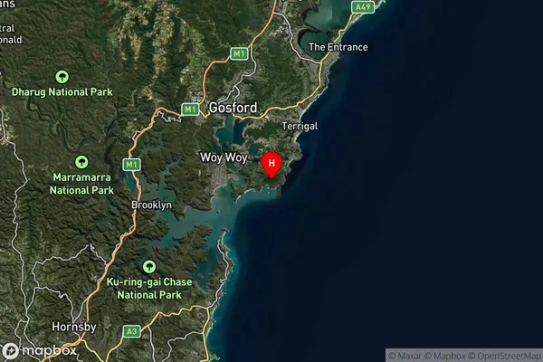 Bouddi,New South Wales Satellite Map