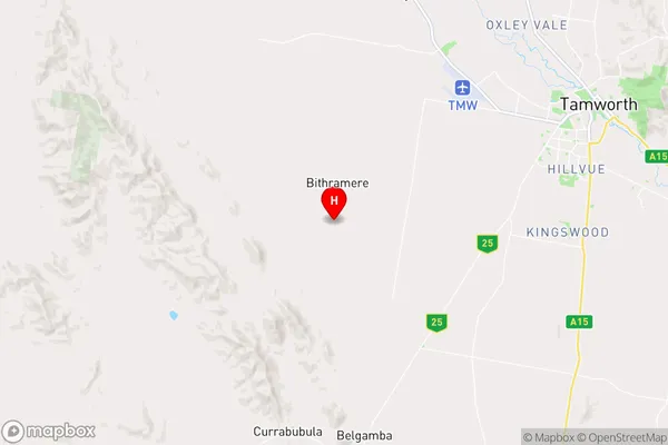 Bithramere,New South Wales Area Map