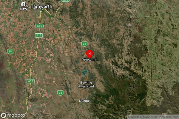 Woolomin,New South Wales Satellite Map