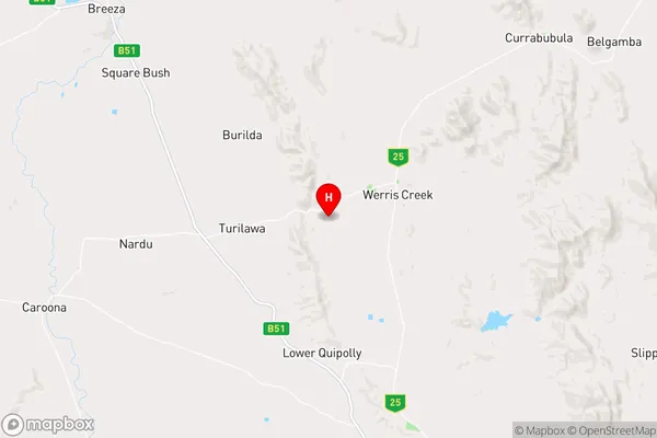 Werris Creek,New South Wales Area Map