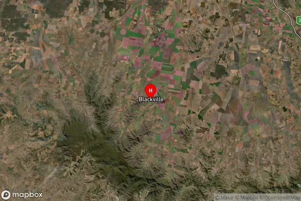 Blackville,New South Wales Satellite Map