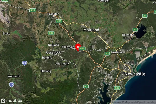 Pelaw Main,New South Wales Satellite Map