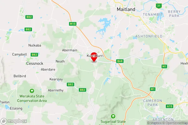 Pelaw Main,New South Wales Area Map