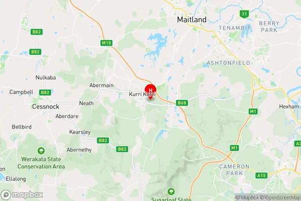 Stanford Merthyr,New South Wales Area Map