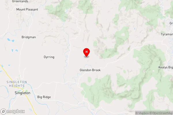 Reedy Creek,New South Wales Area Map