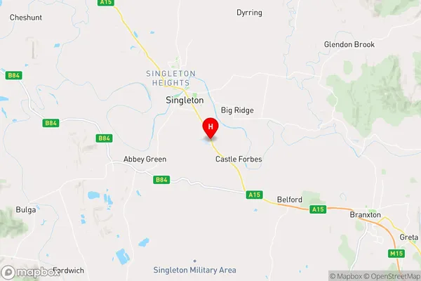 Whittingham,New South Wales Area Map