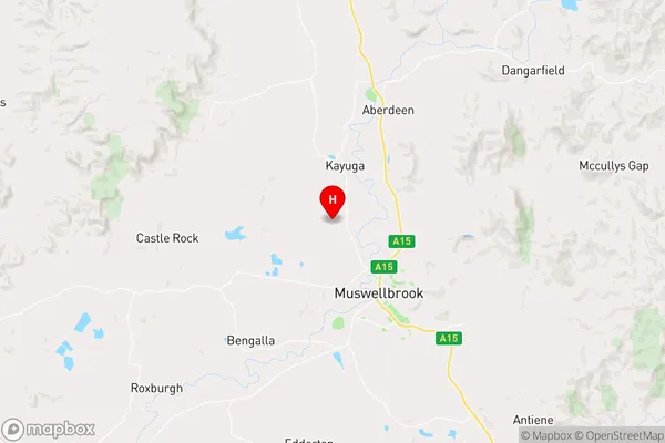 Kayuga,New South Wales Area Map