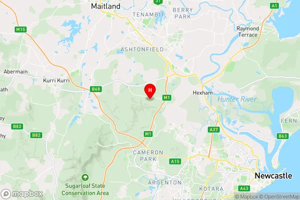 Black Hill,New South Wales Area Map