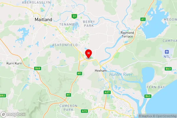 Tarro,New South Wales Area Map