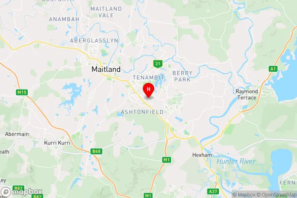 Metford Dc,New South Wales Area Map