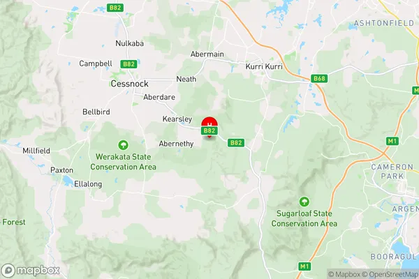 Elrington,New South Wales Area Map