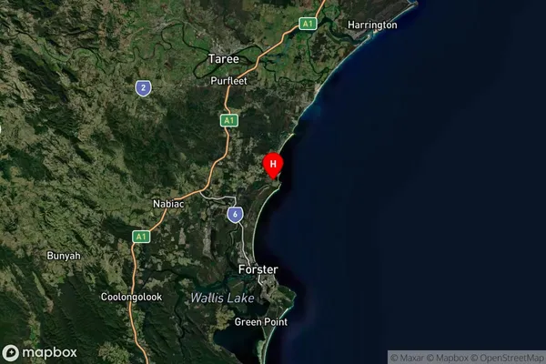 Black Head,New South Wales Satellite Map