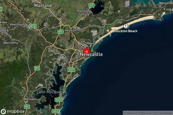 The Junction,New South Wales Satellite Map