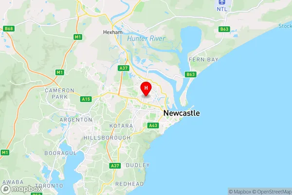 Georgetown,New South Wales Area Map