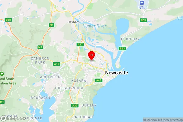 Waratah,New South Wales Area Map