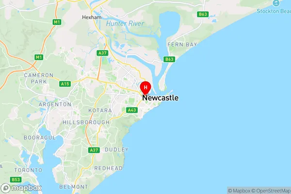 Newcastle West,New South Wales Area Map