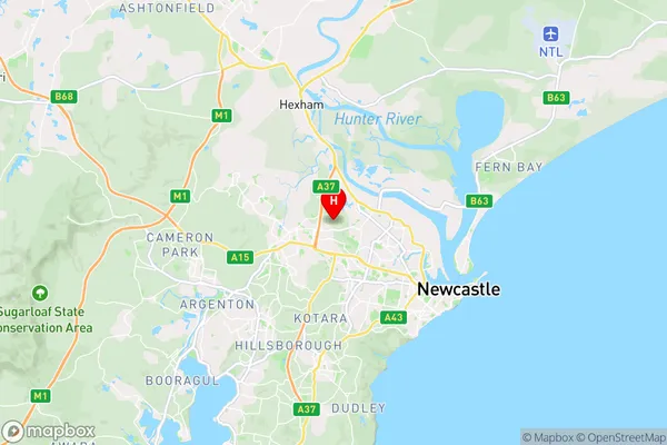 Newcastle University,New South Wales Area Map