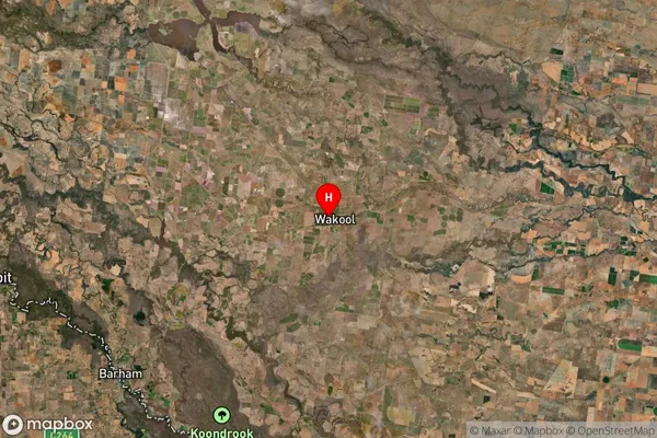 Wakool,New South Wales Satellite Map