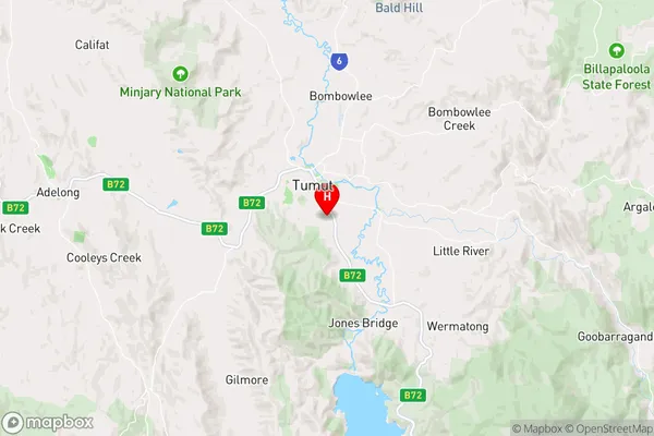 Tumut,New South Wales Area Map