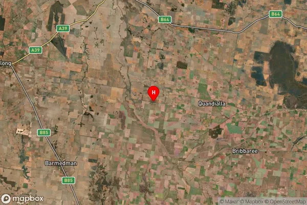 Bland,New South Wales Satellite Map