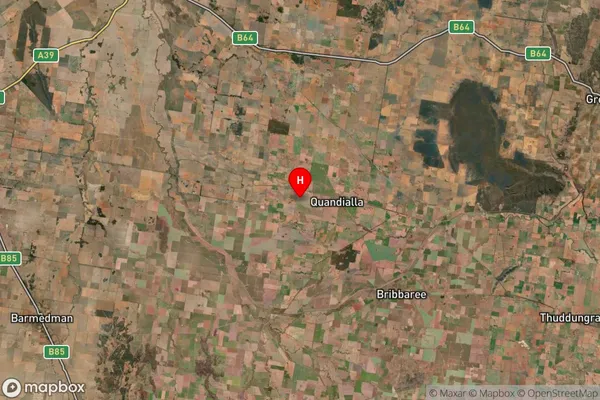 Quandialla,New South Wales Satellite Map