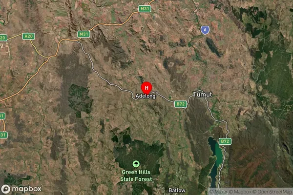 Adelong,New South Wales Satellite Map