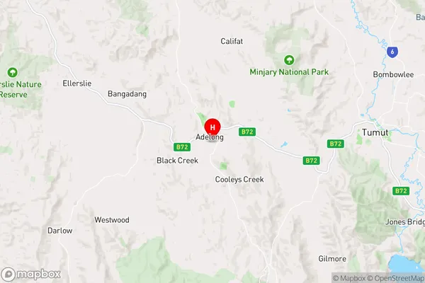 Adelong,New South Wales Area Map