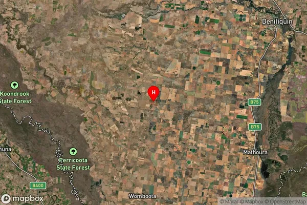 Tantonan,New South Wales Satellite Map