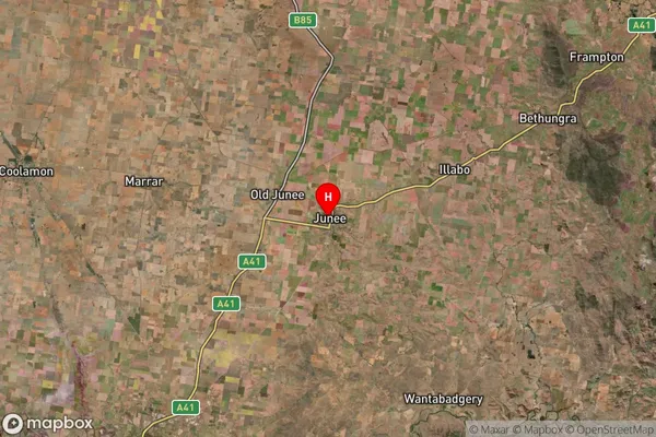 Junee,New South Wales Satellite Map