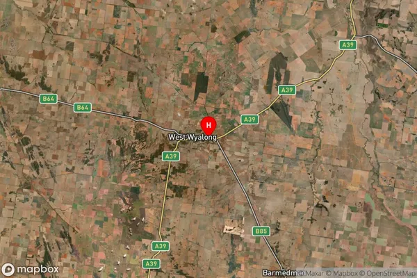 Wyalong,New South Wales Satellite Map