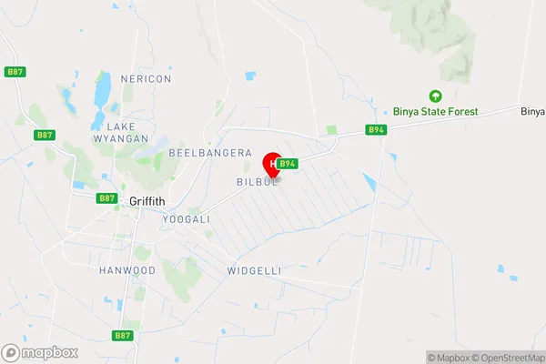 Bilbul,New South Wales Area Map