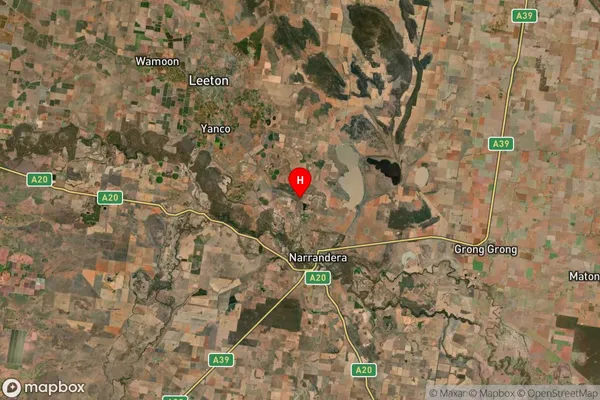 Paynters Siding,New South Wales Satellite Map