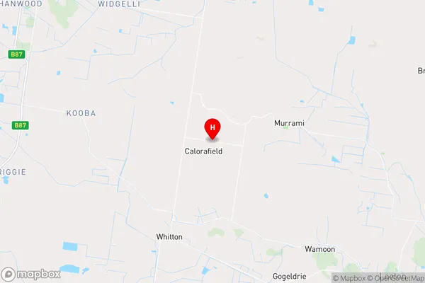 Calorafield,New South Wales Area Map