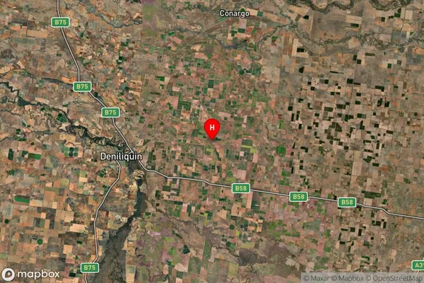 Birganbigil,New South Wales Satellite Map