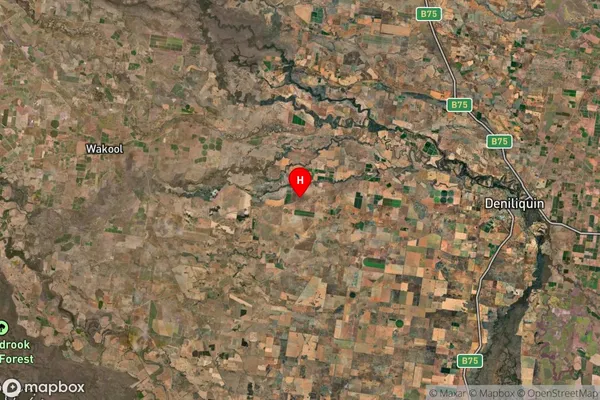 Brassi,New South Wales Satellite Map