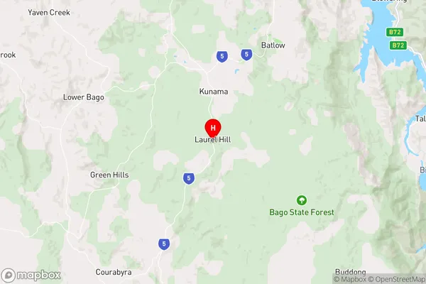 Laurel Hill,New South Wales Area Map