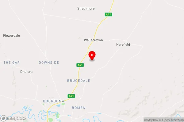 Brucedale,New South Wales Area Map