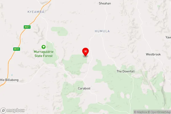 Humula,New South Wales Area Map