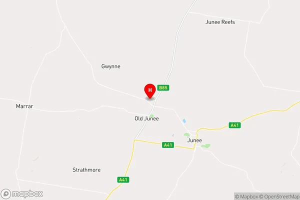 Old Junee,New South Wales Area Map