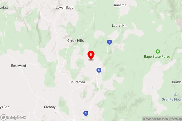 Willigobung,New South Wales Area Map