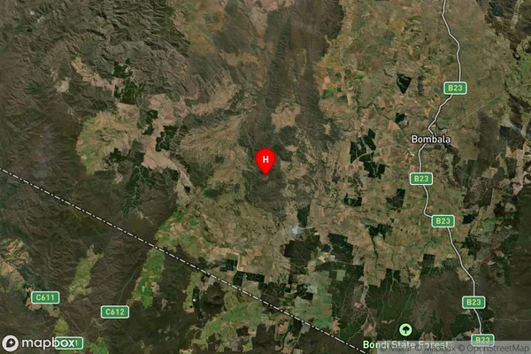 Quidong,New South Wales Satellite Map