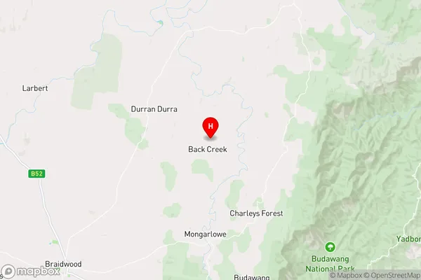 Back Creek,New South Wales Area Map