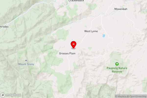 Grosses Plain,New South Wales Area Map