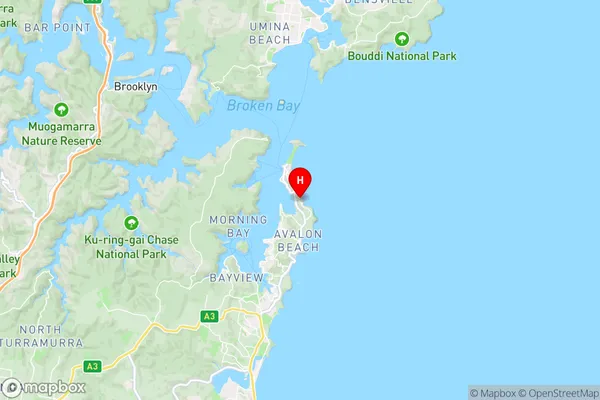 Whale Beach,New South Wales Area Map