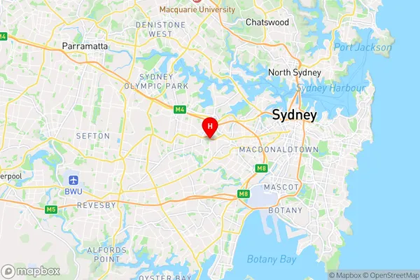 Ashfield,New South Wales Area Map